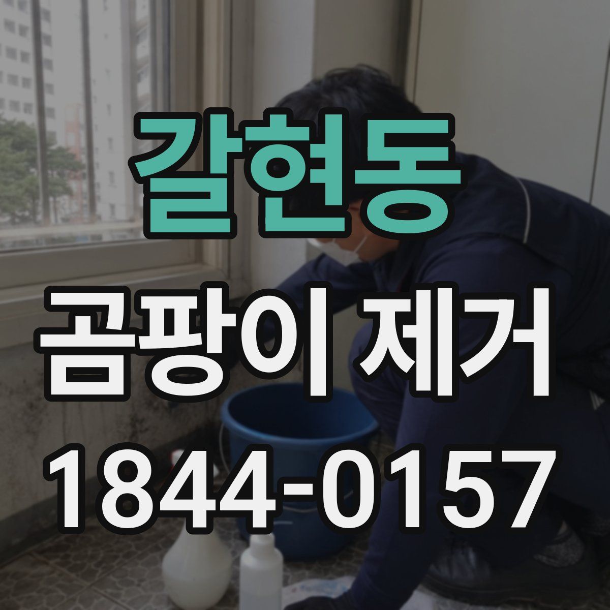 갈현동 곰팡이 제거