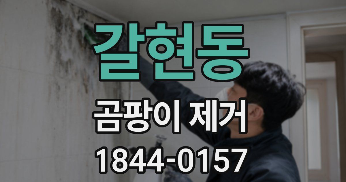 갈현동 곰팡이 제거
