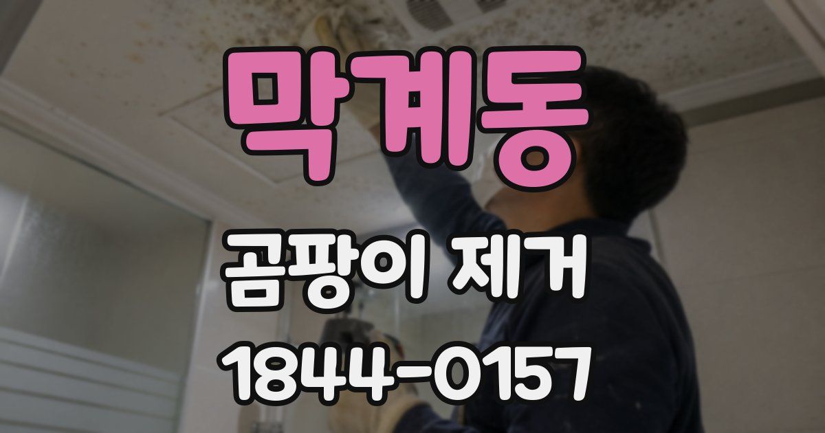막계동 곰팡이 제거