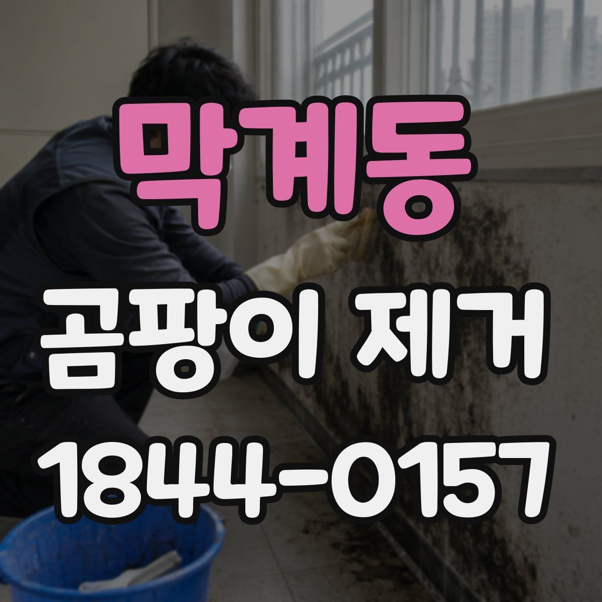 막계동 곰팡이 제거
