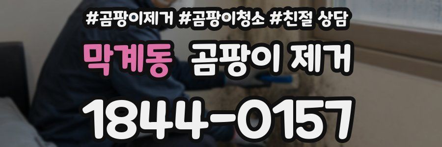막계동 곰팡이 제거
