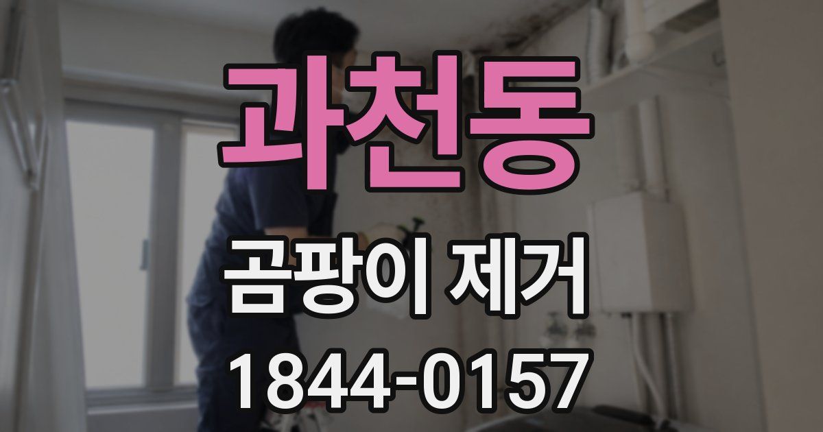 과천동 곰팡이 제거