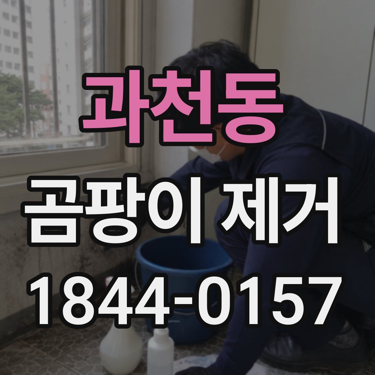 과천동 곰팡이 제거