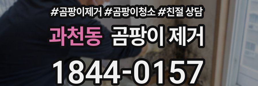 과천동 곰팡이 제거