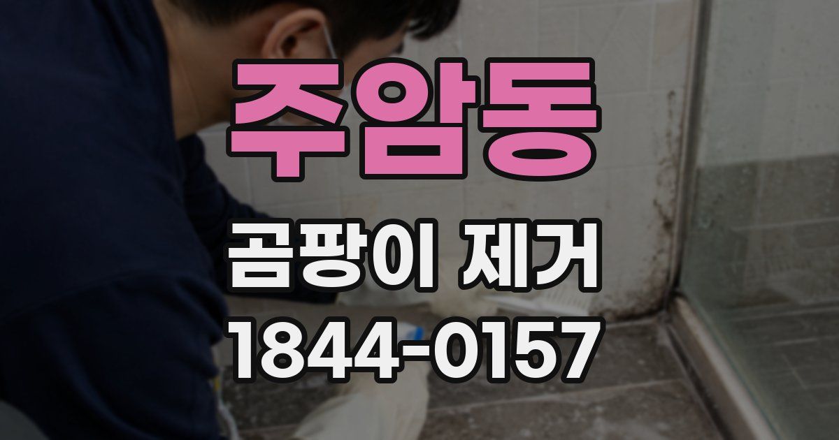 주암동 곰팡이 제거