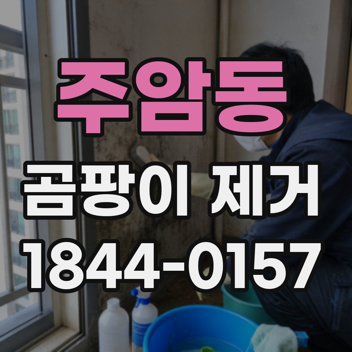 주암동 곰팡이 제거