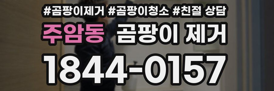 주암동 곰팡이 제거