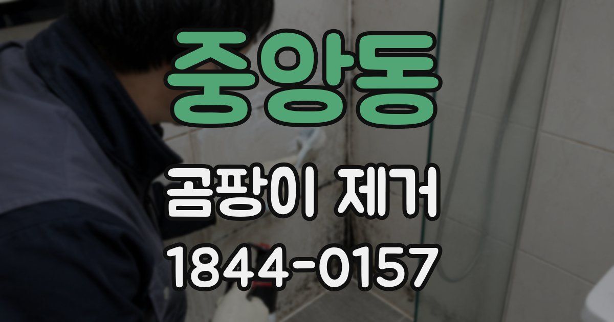 중앙동 곰팡이 제거
