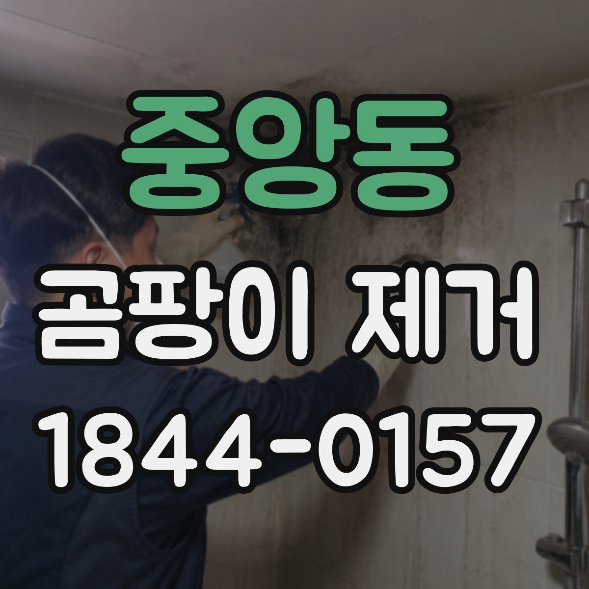 중앙동 곰팡이 제거