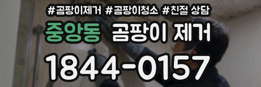 중앙동 곰팡이 제거