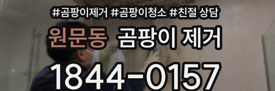 원문동 곰팡이 제거