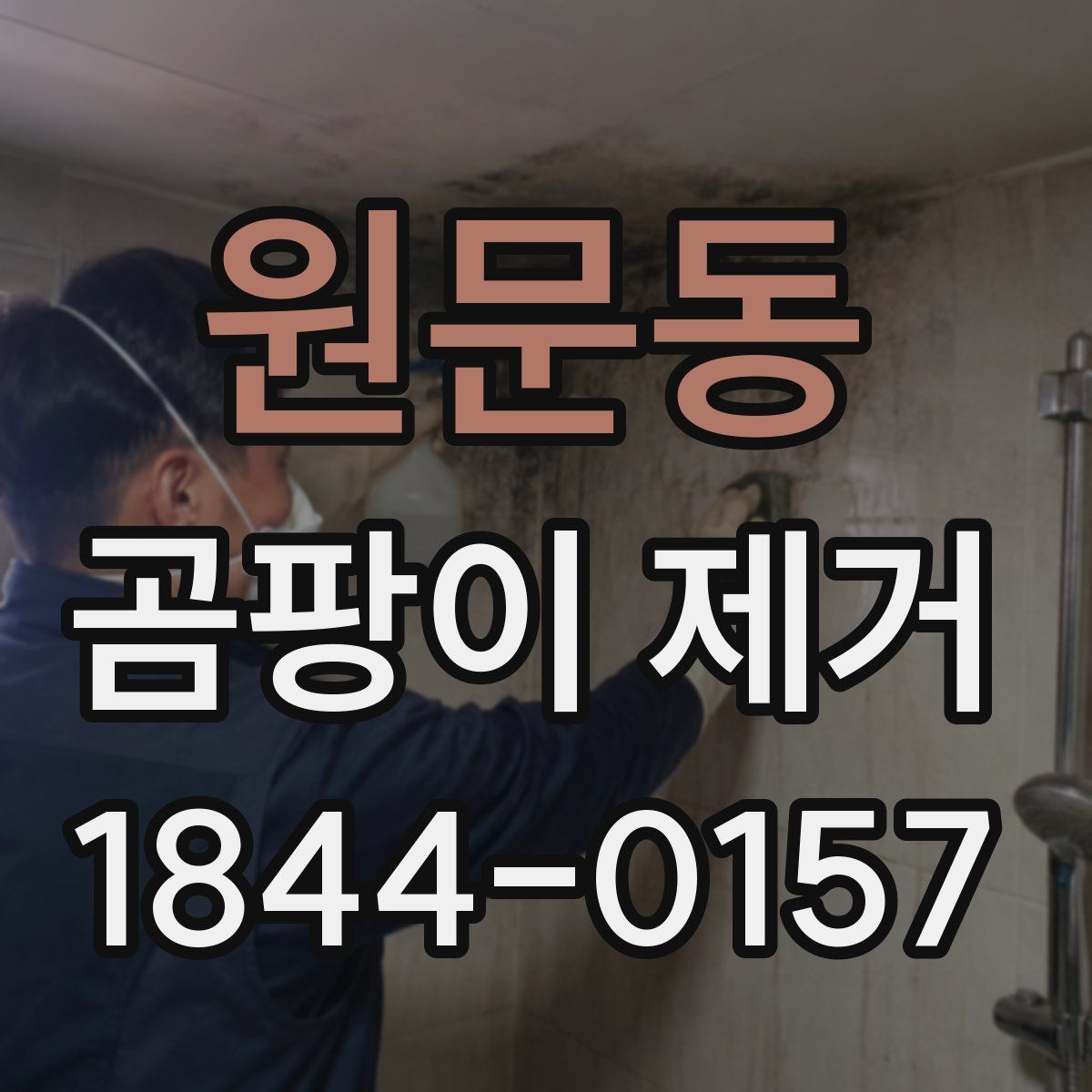 원문동 곰팡이 제거