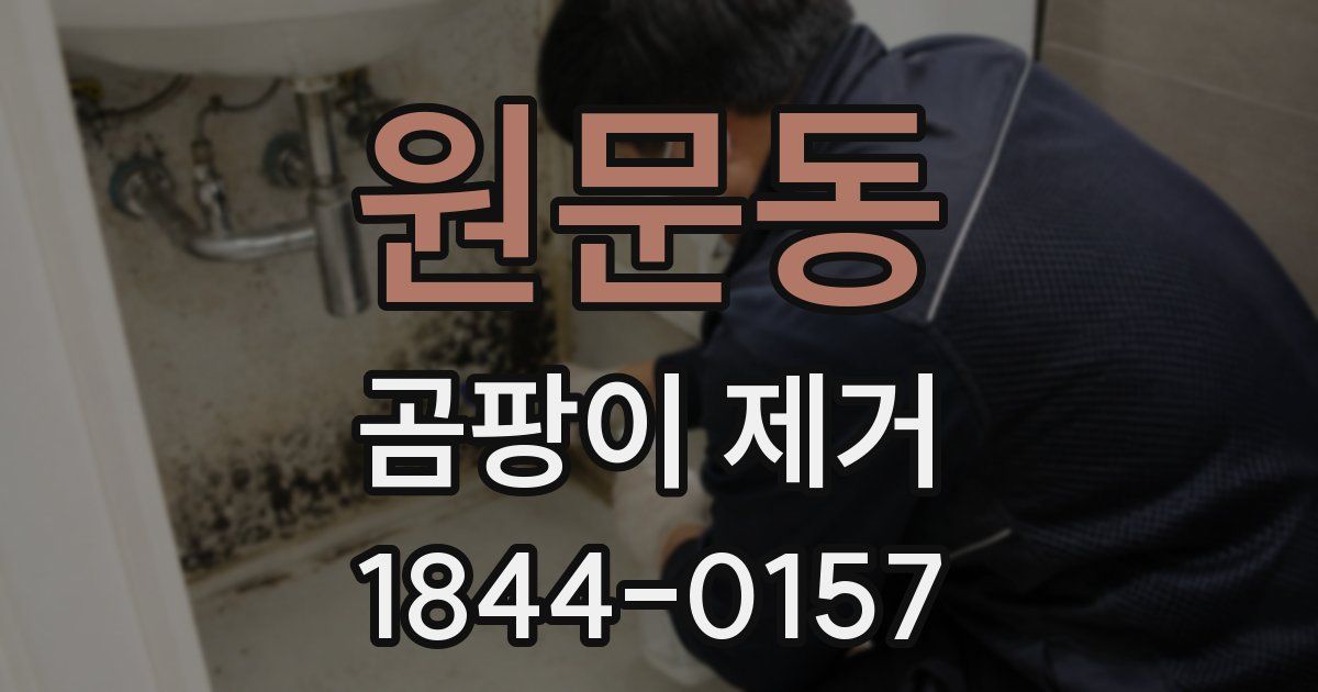 원문동 곰팡이 제거