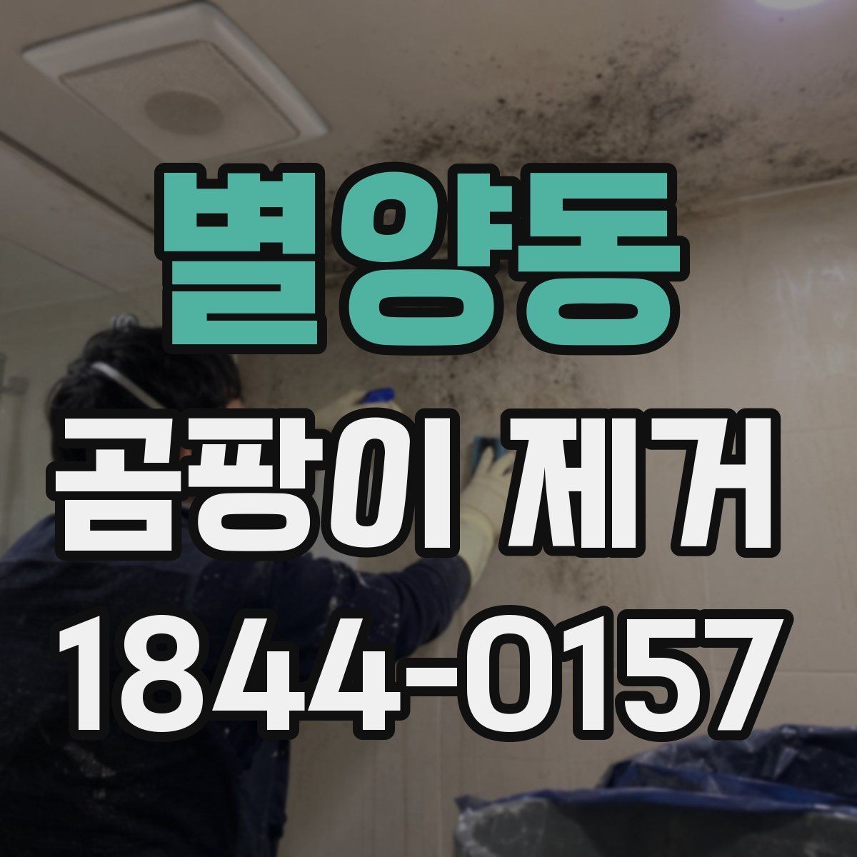 별양동 곰팡이 제거 작업 범위는 어디까지일까