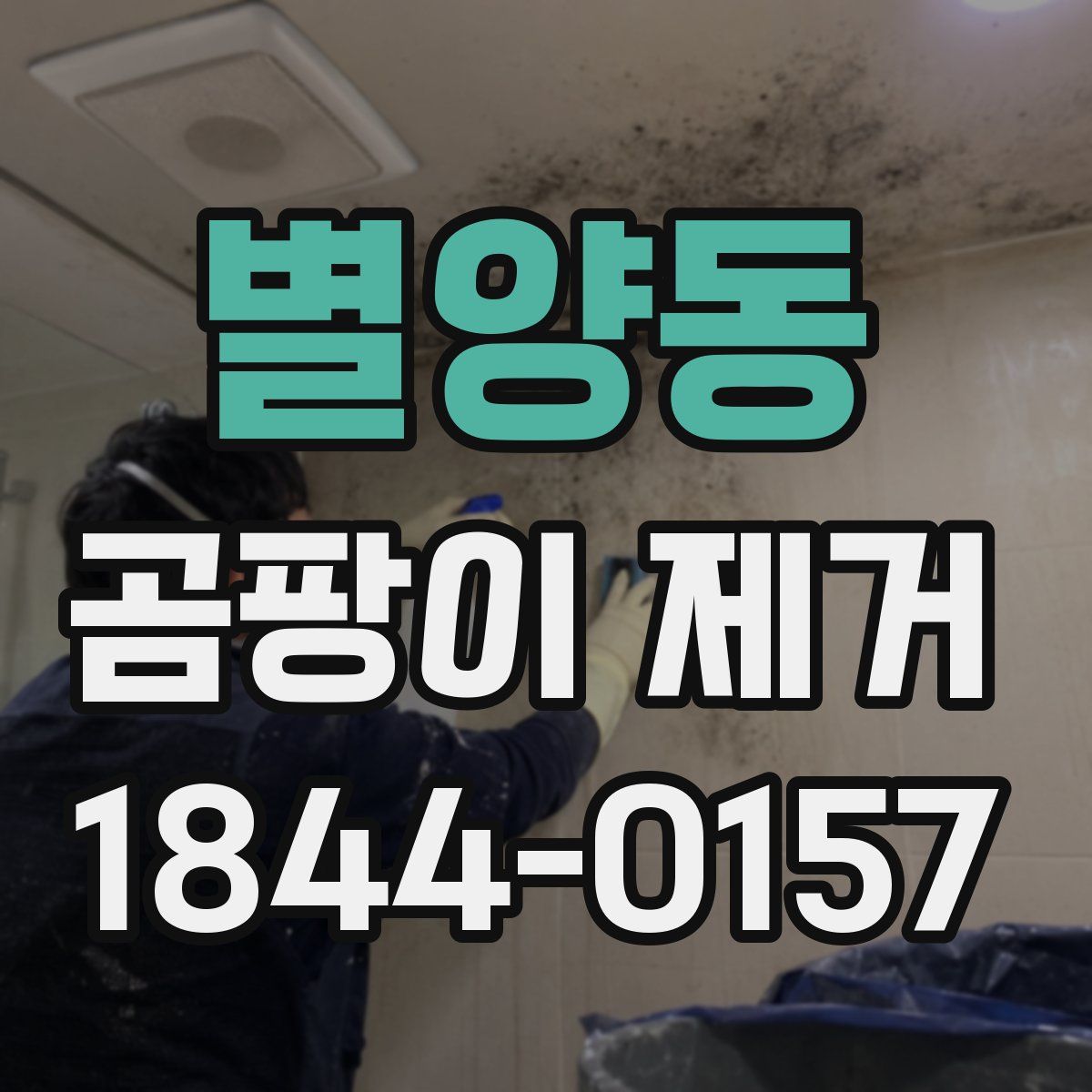 별양동 곰팡이 제거