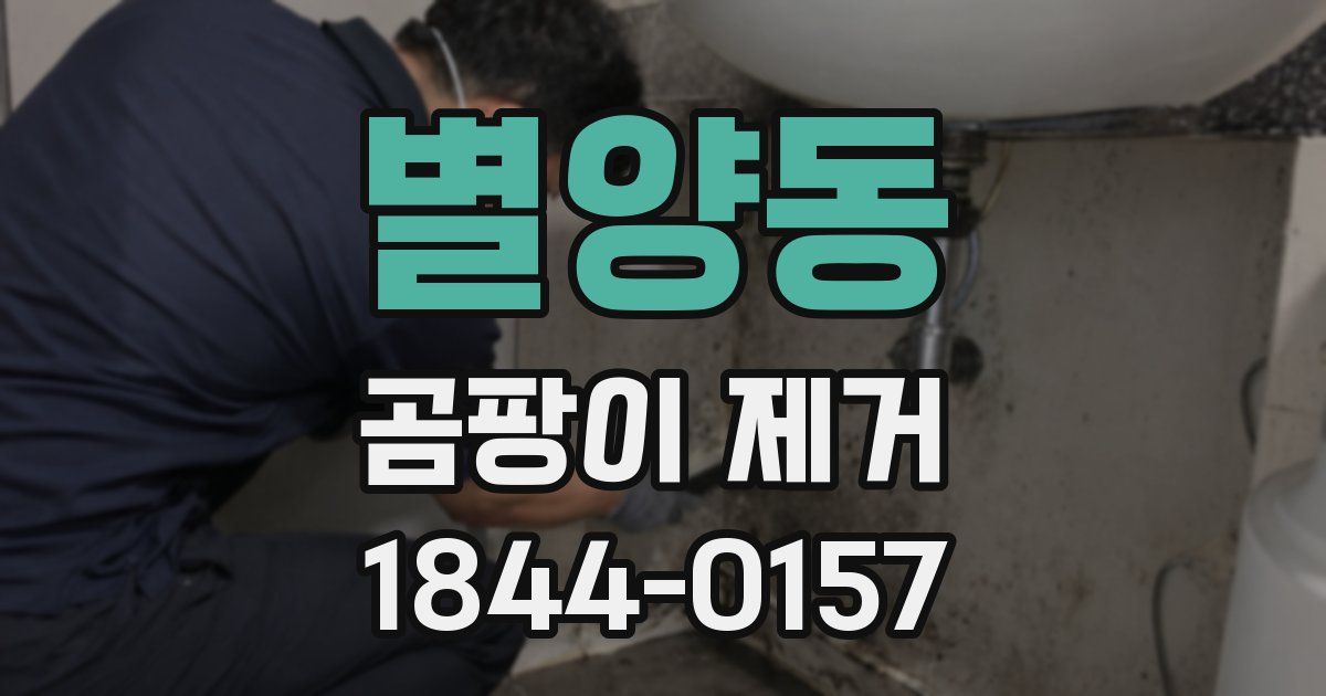 별양동 곰팡이 제거