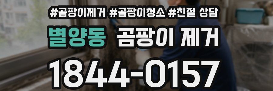 별양동 곰팡이 제거
