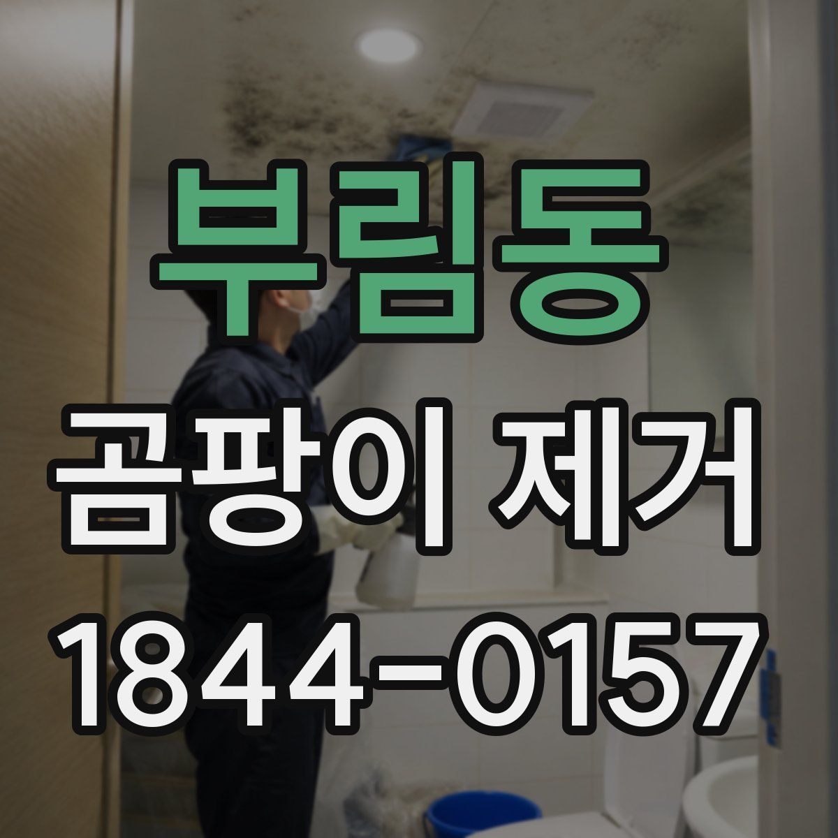 부림동 곰팡이 제거