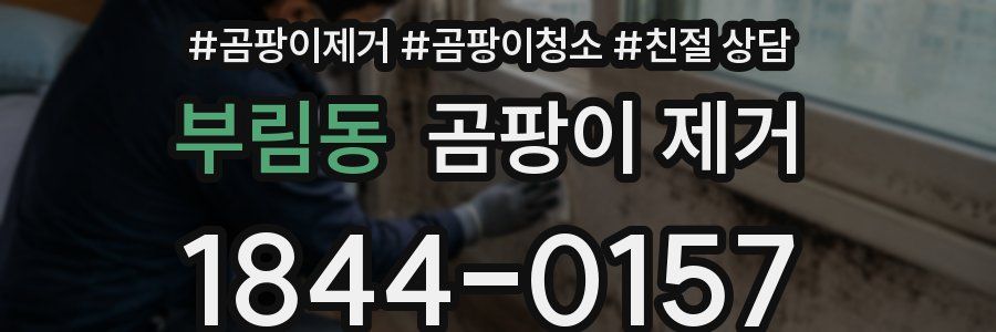부림동 곰팡이 제거