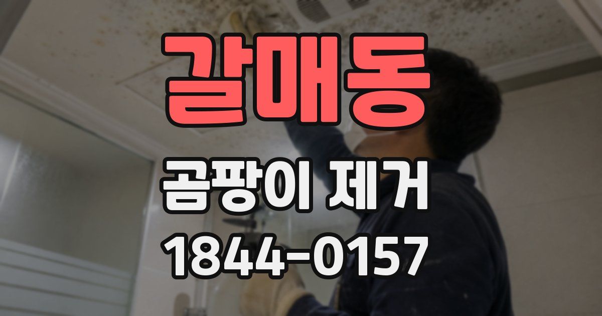 갈매동 곰팡이 제거