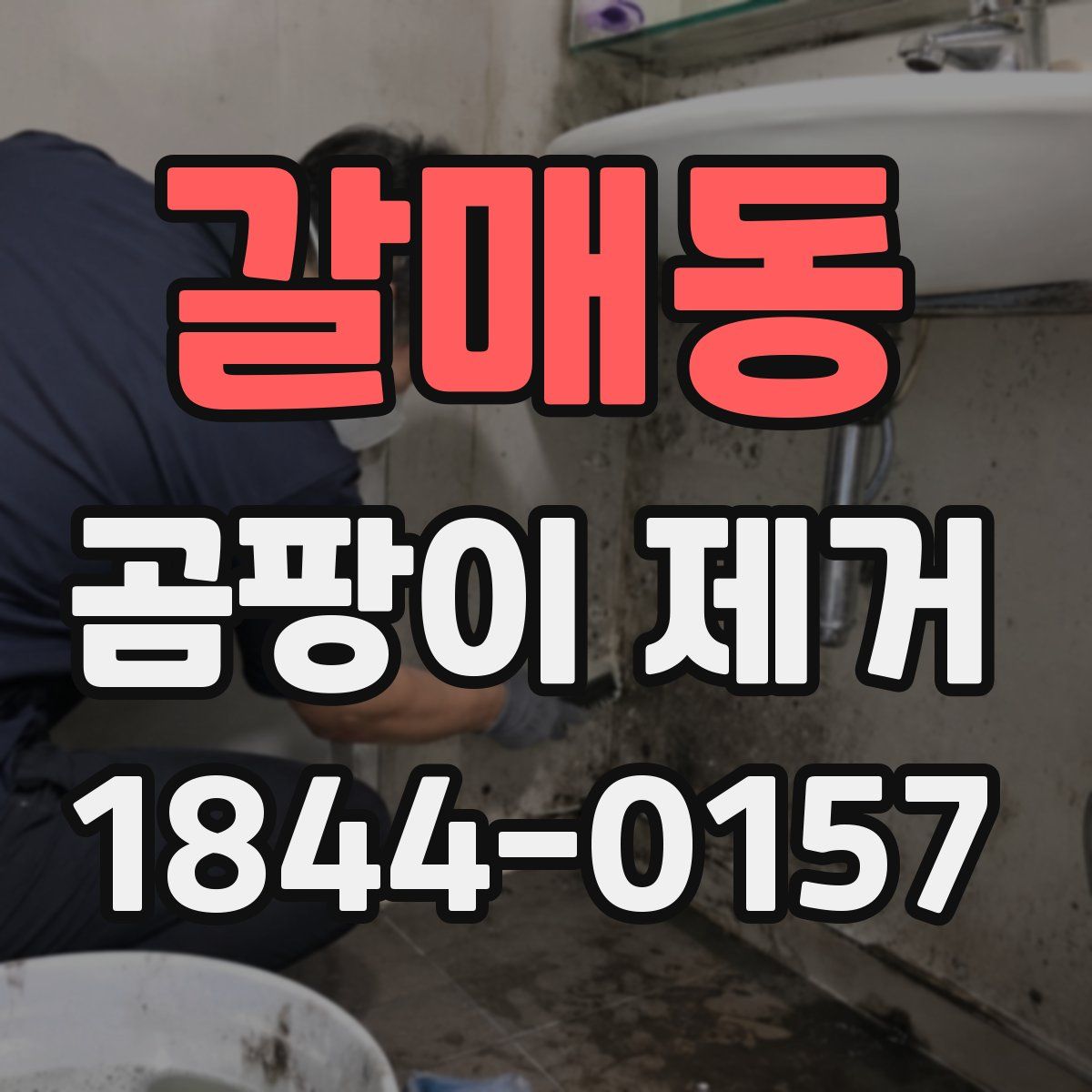 갈매동 곰팡이 제거