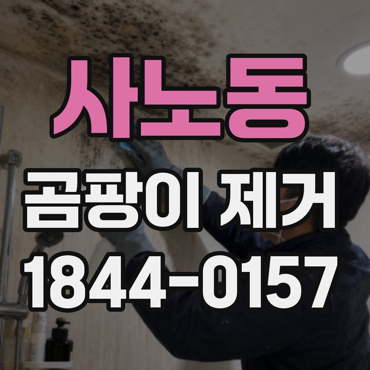 사노동 곰팡이 제거