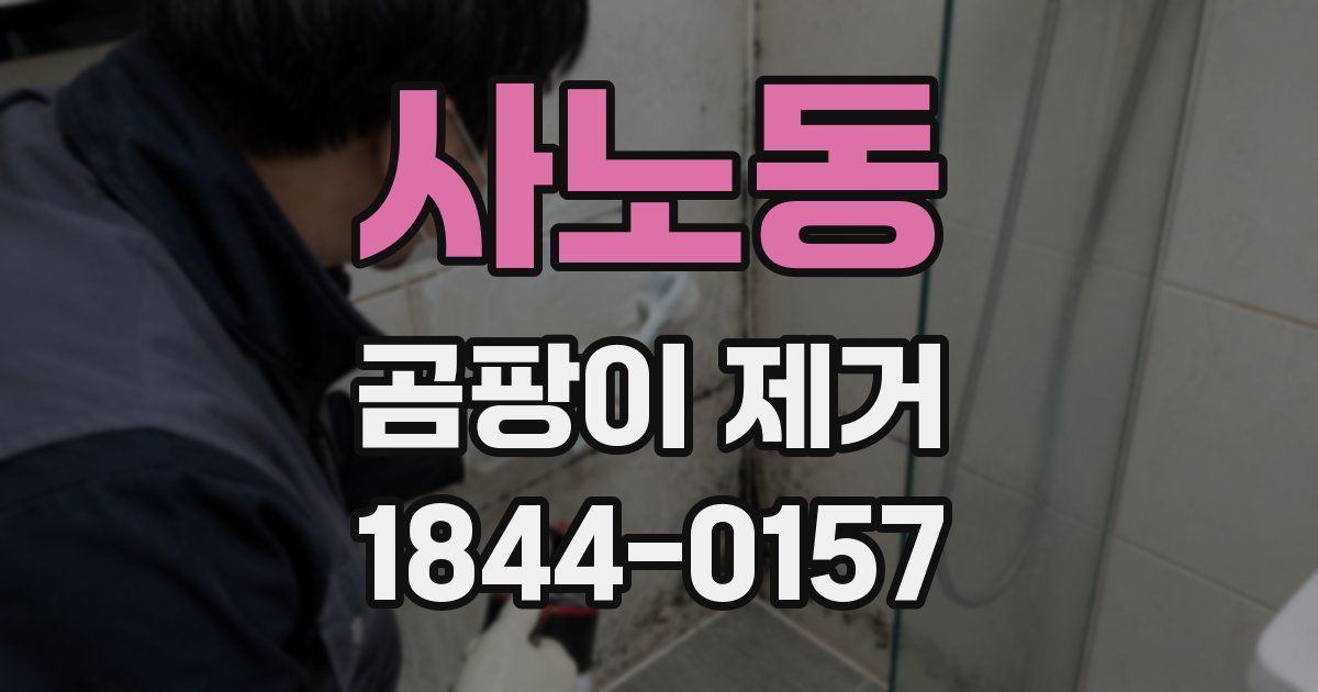 사노동 곰팡이 제거