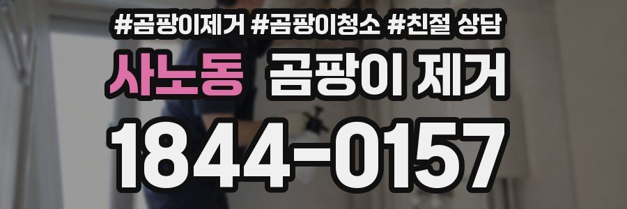 사노동 곰팡이 제거