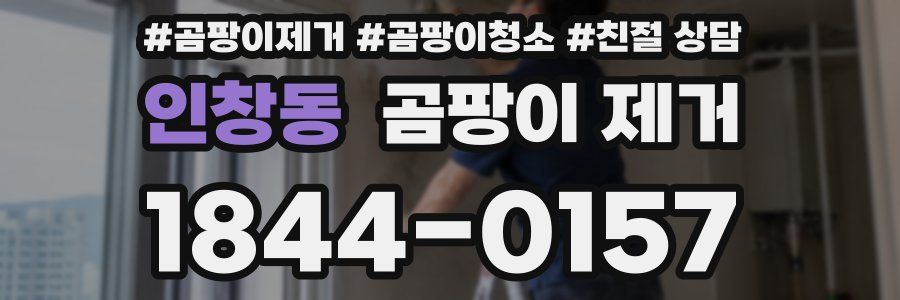 인창동 곰팡이 제거