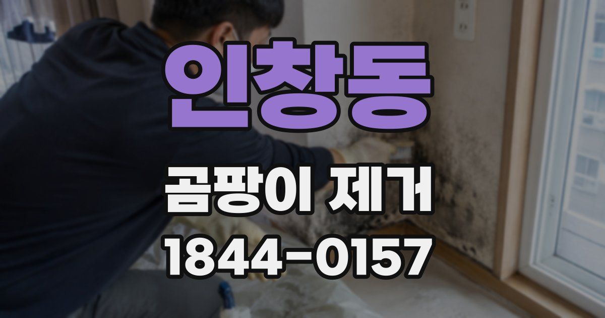 인창동 곰팡이 제거