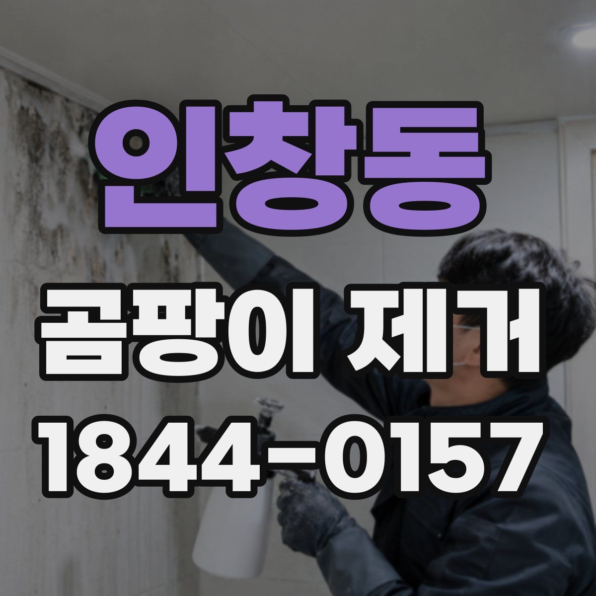 인창동 곰팡이 제거