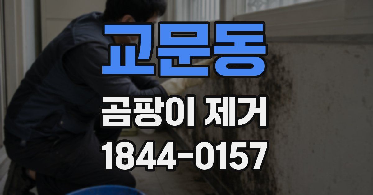 교문동 곰팡이 제거