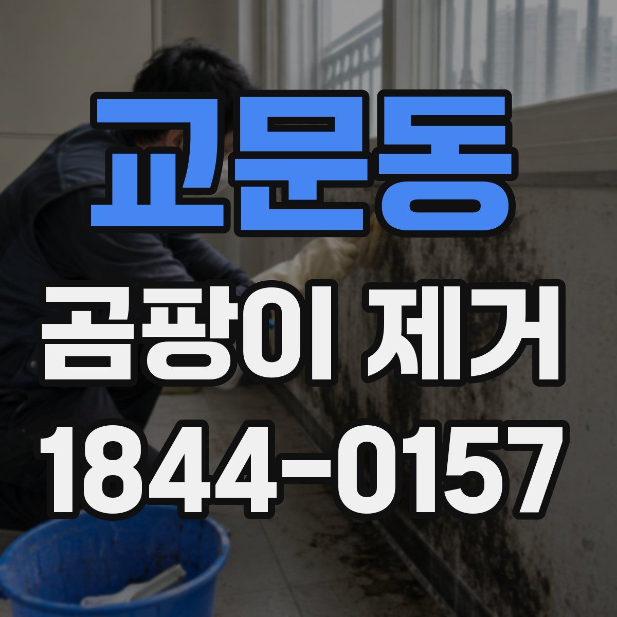 교문동 곰팡이 제거