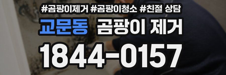 교문동 곰팡이 제거