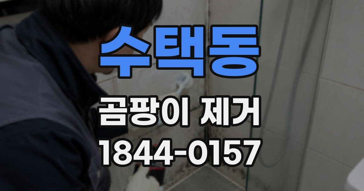 수택동 곰팡이 제거