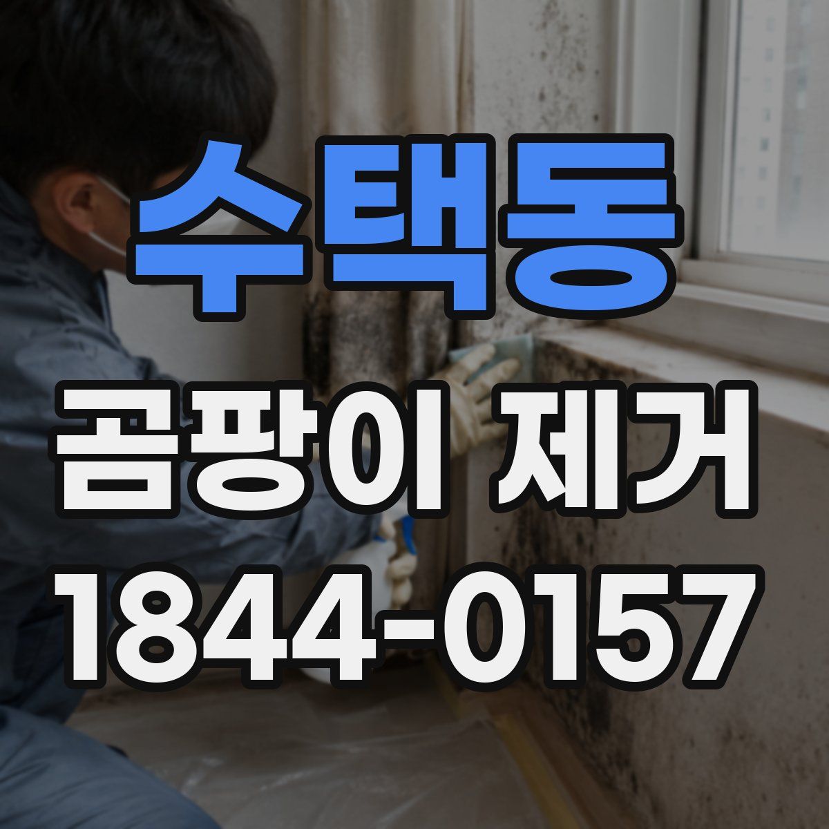 수택동 곰팡이 제거