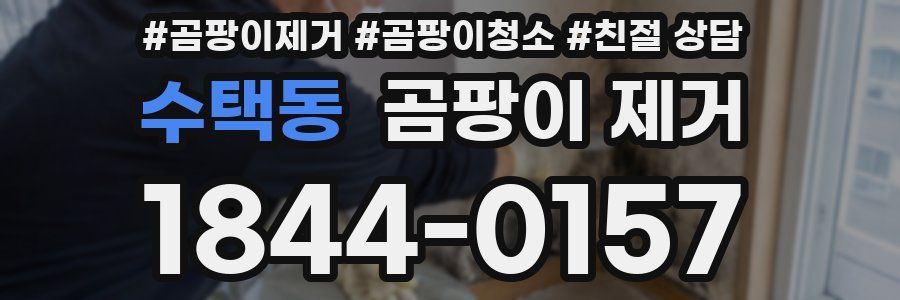 수택동 곰팡이 제거