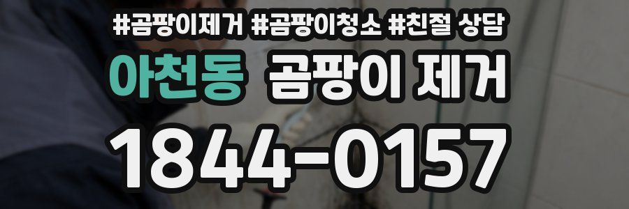 아천동 곰팡이 제거