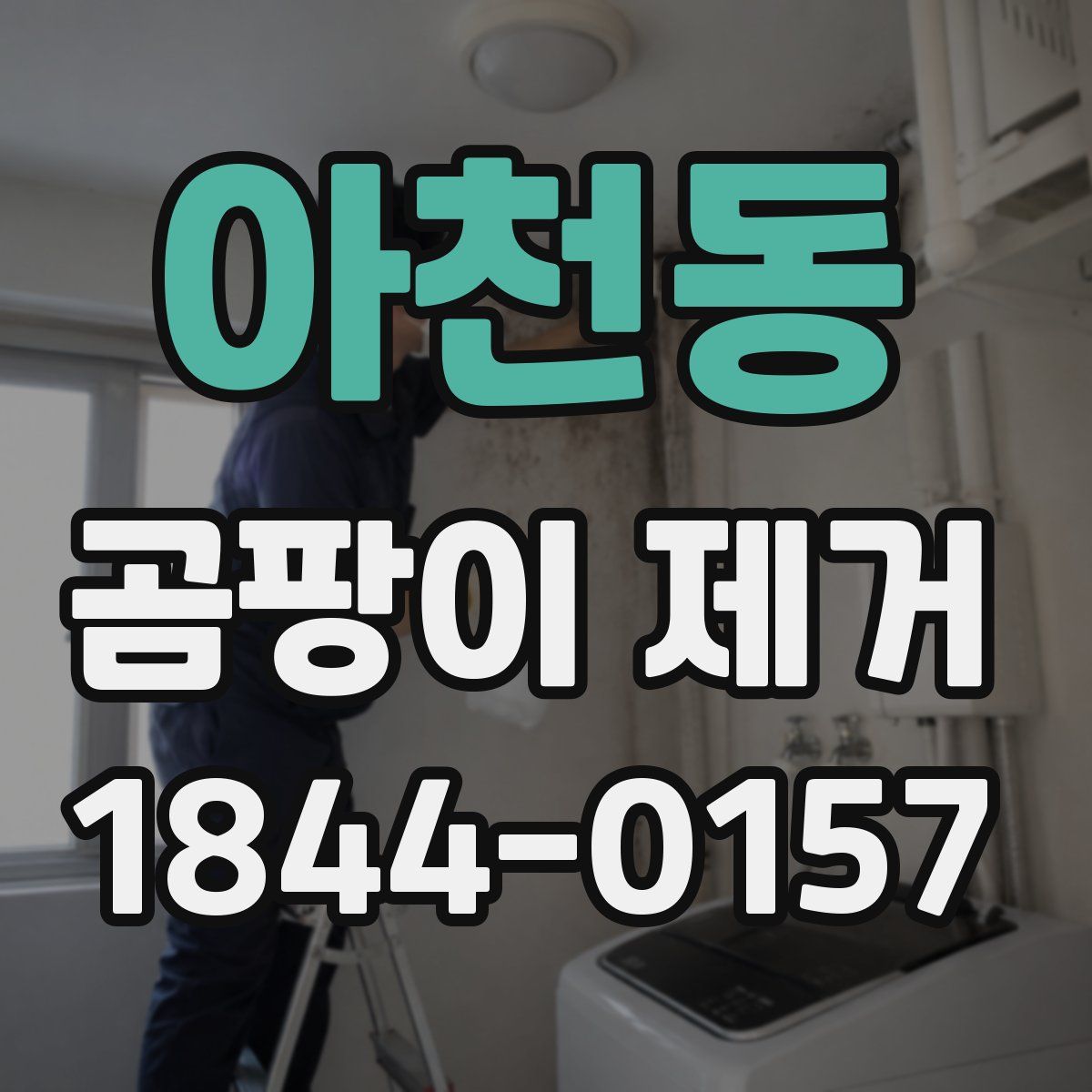 아천동 곰팡이 제거