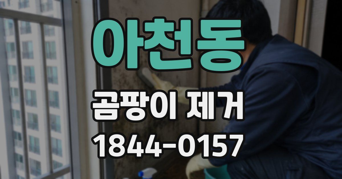 아천동 곰팡이 제거