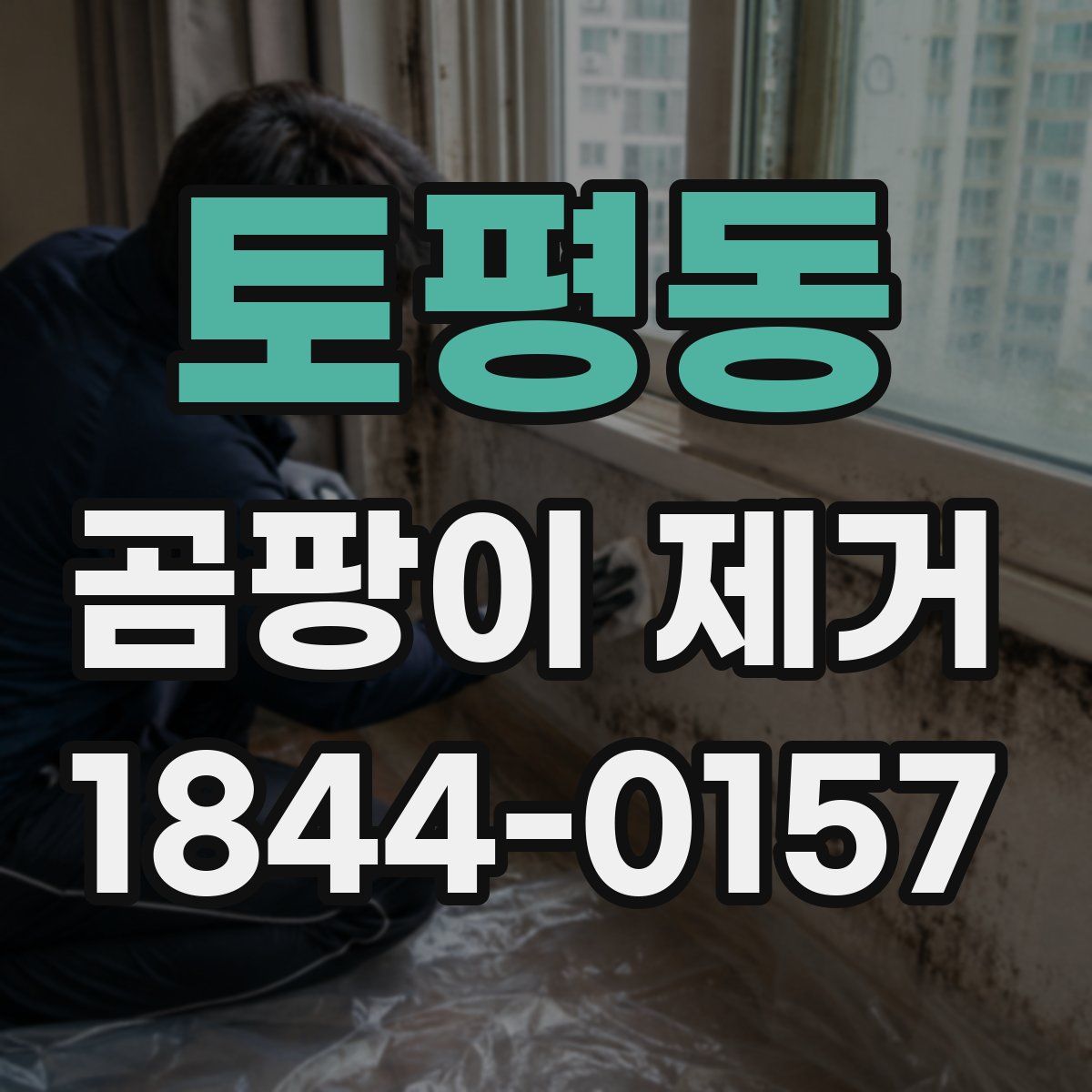 토평동 곰팡이 제거