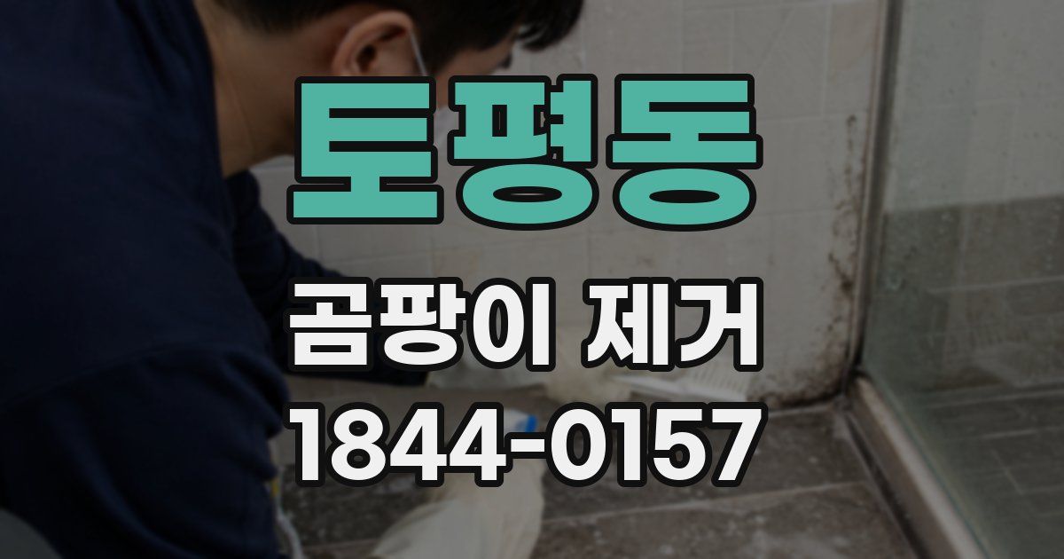토평동 곰팡이 제거