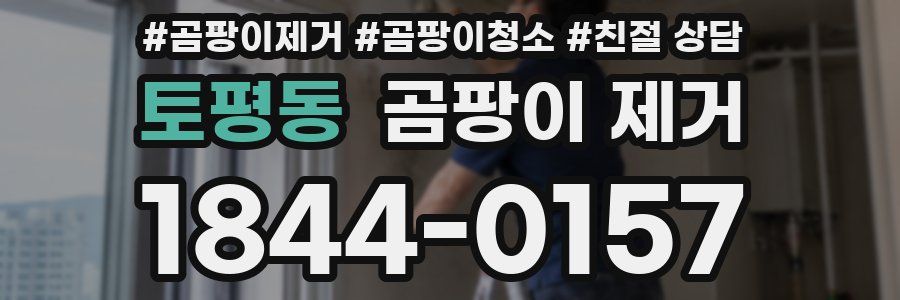 토평동 곰팡이 제거