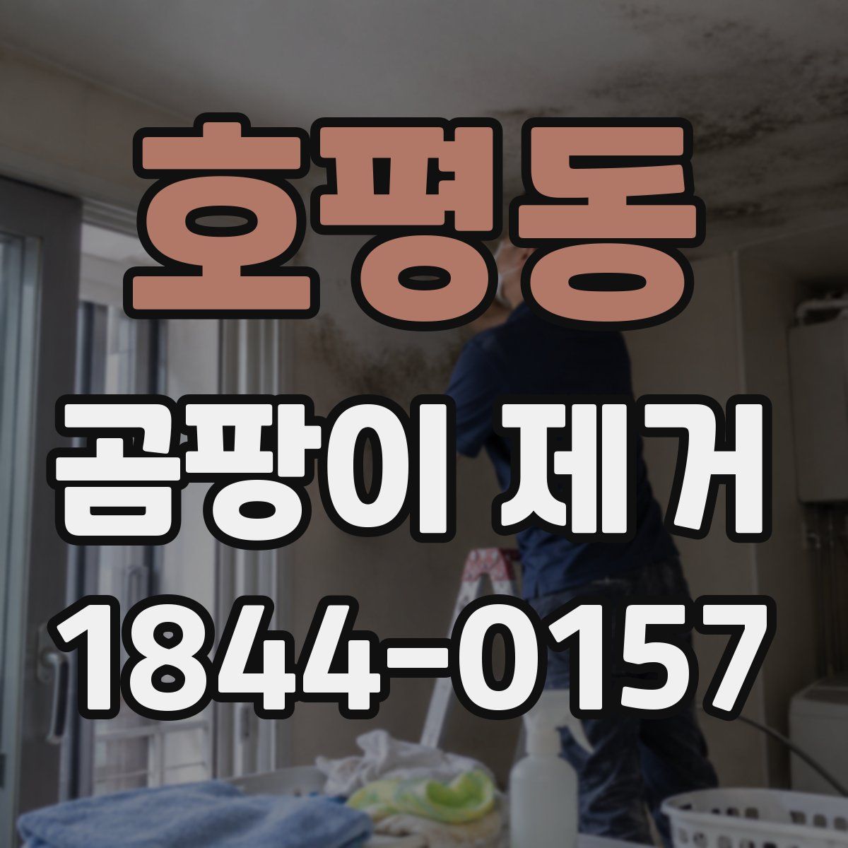 호평동 곰팡이 제거