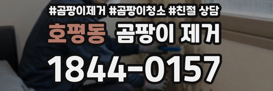 호평동 곰팡이 제거