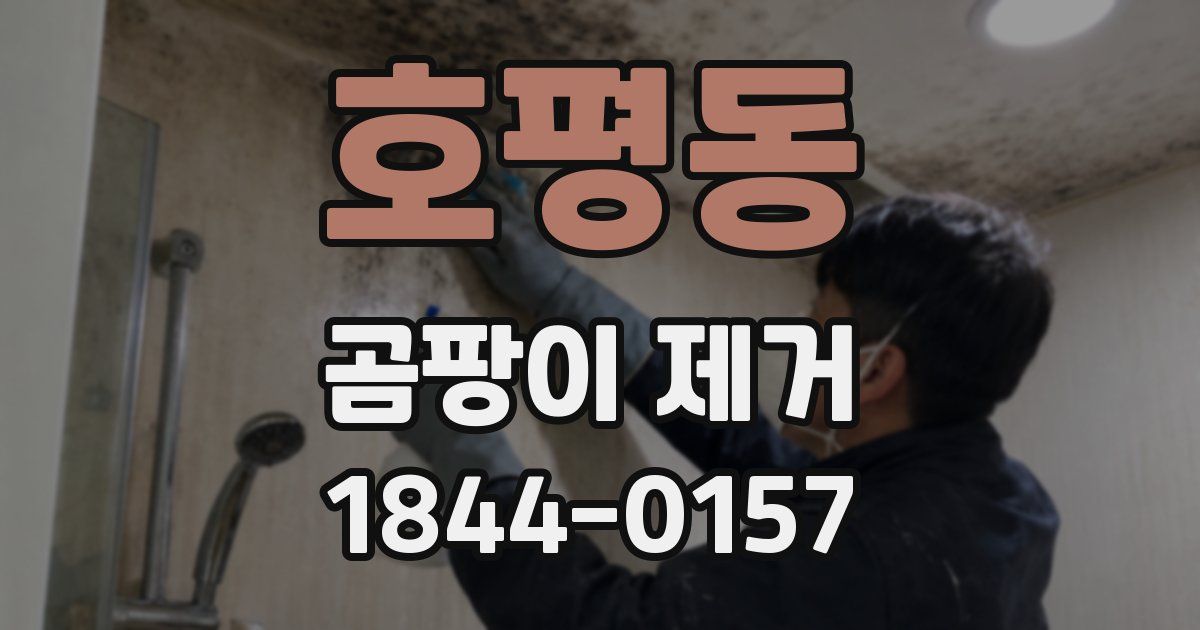 호평동 곰팡이 제거