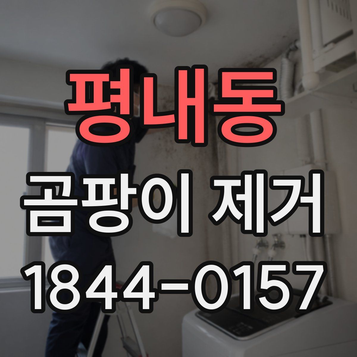 평내동 곰팡이 제거