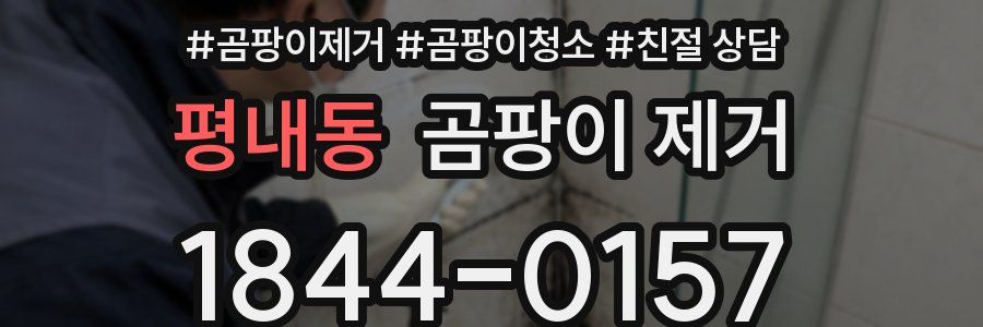 평내동 곰팡이 제거