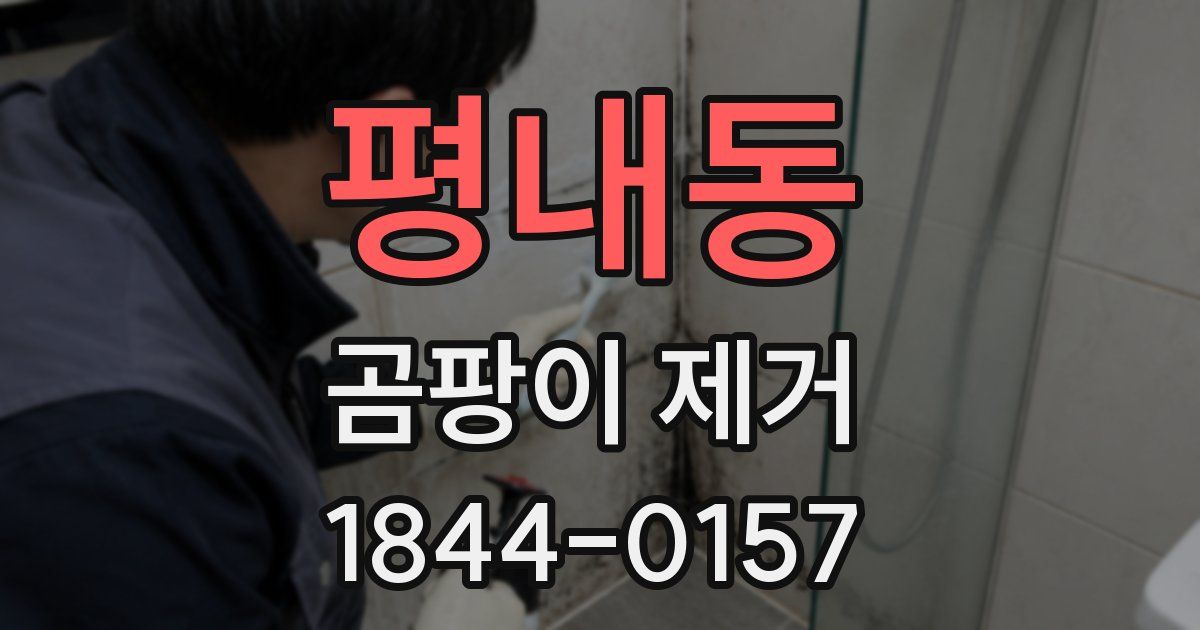 평내동 곰팡이 제거