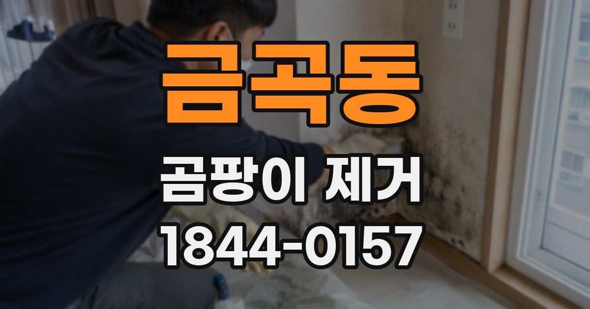 금곡동 곰팡이 제거
